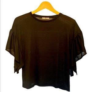 Zara Sheer Flutter Sleeve Top Black